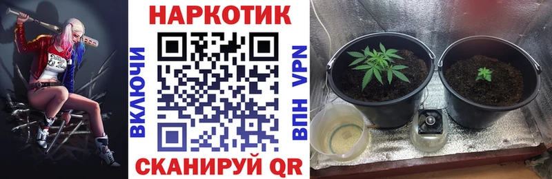 Что такое Красноармейск Cocaine  А ПВП  Мефедрон  Гашиш  Конопля 